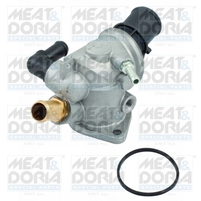 Thermostat, coolant